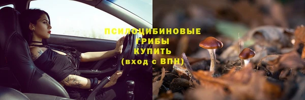 МДМА Белокуриха