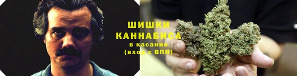 Альфа ПВП Белоозёрский