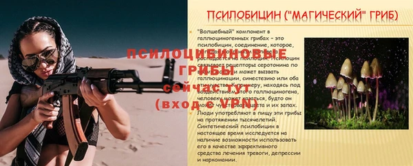 гидропоника Нягань