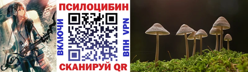 купить наркоту  Острогожск  Галлюциногенные грибы прущие грибы 